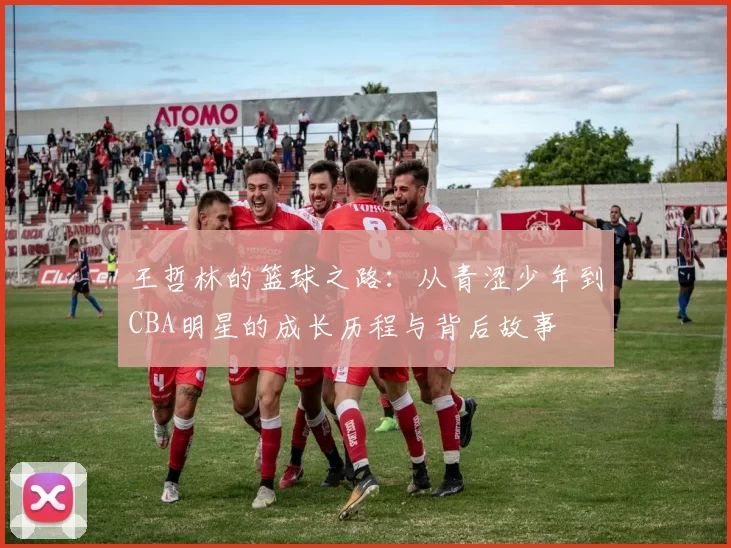 王哲林的篮球之路：从青涩少年到CBA明星的成长历程与背后故事