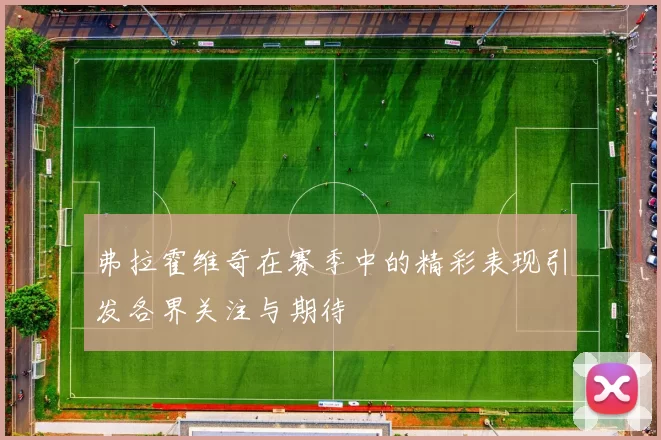 弗拉霍维奇在赛季中的精彩表现引发各界关注与期待