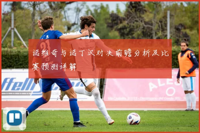 诺维奇与诺丁汉对决前瞻分析及比赛预测详解